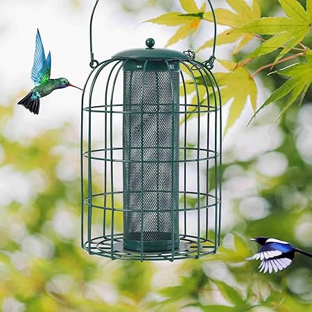 Amazon Com Phi Villa Bird Feeder Squirrel Proof Caged Tube