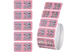 SINBANA 500 2026 Year Labels, 3/4 x 1-1/2 inch File Folder Stickers Color Coded Medical Chart Number Labels for Office Supplies (Holographic Pink)