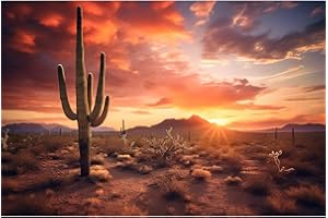 ZATIASMILLER Sunset Desert Reptile Habitat Background Towering Saguaro Cacti with Dramatic Sky Terrarium Background Rugged Terrain and Vibrant Desert Landscape Background Tank Wallpaper Decor Vinyl 72x24in