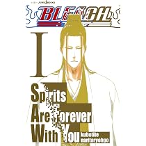 BLEACH The Death Save The Strawberry (JUMP j BOOKS) (2012) ISBN