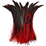 Colorful Rooster Tail Feathers-50PC 10-12inch