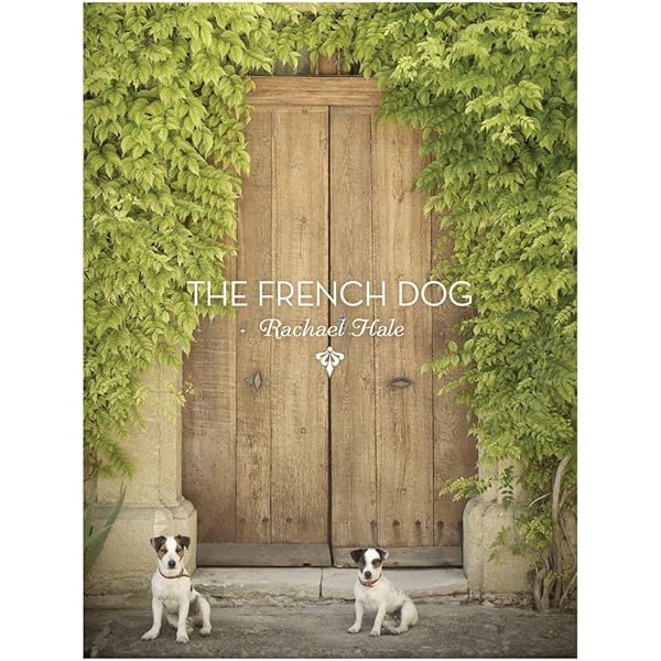 【値下げ】洋書 The FRENCH CAT　初版　希少品　写真集　猫　フランス 値下げ】洋書 The FRENCH CAT初版希少品写真集猫フランス