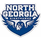 Rico Industries NCAA North Georgia Nighthawks Shape Cut Pennant - Home and Living Room Décor - Soft Felt EZ to Hang