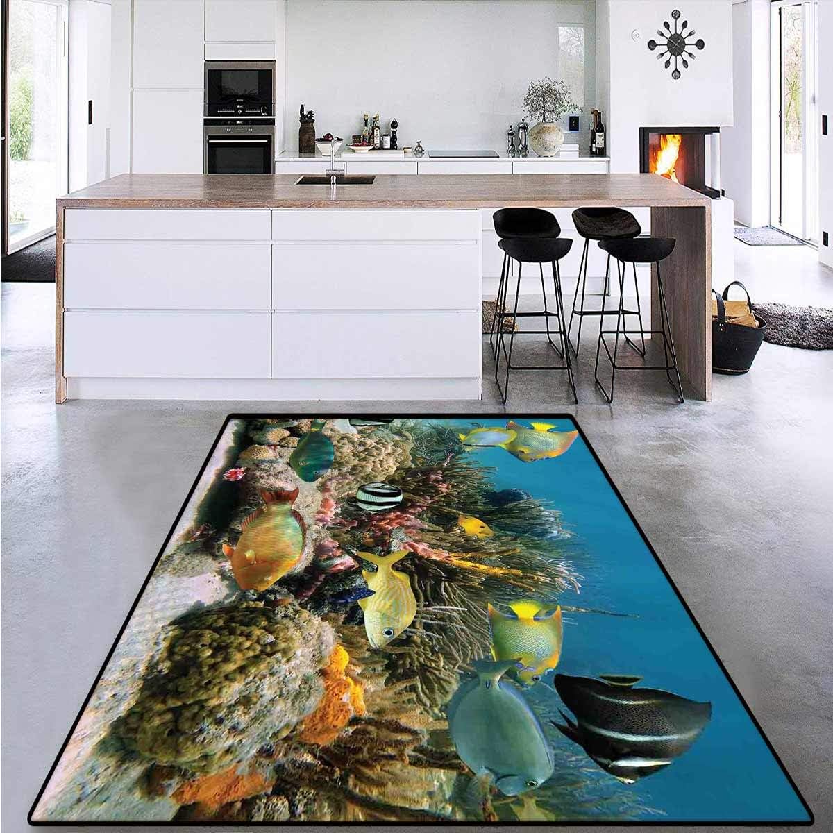 Ocean, Extra Large Area Rug, Colorful Coral Colony on Reef Beautiful Shoal of Tropical Fish Caribbean Sea Picture, for Living Room 4' x 6' Multicolor