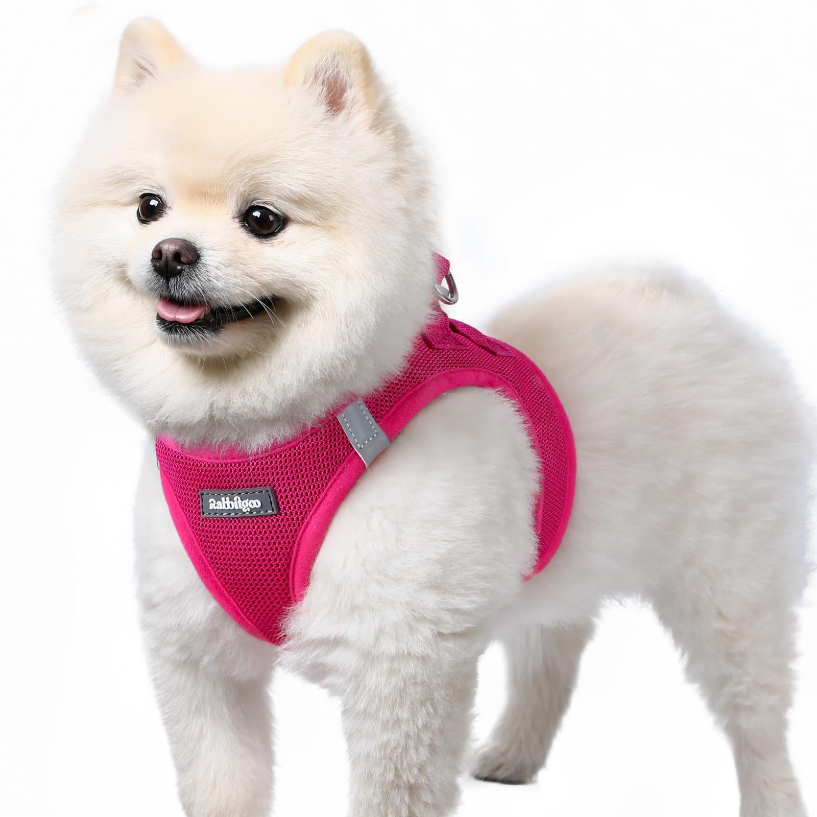 Photo 1 of rabbitgoo Small Dog Harness, Step-in Soft Mesh Puppy Vest with Safety Buckle, Breathable Reflective Pet Harness for Small Sized Dogs, Rose Red S