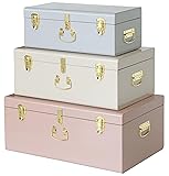 Vixdonos Decorative Box Set of 3 Metal Trunks Chest