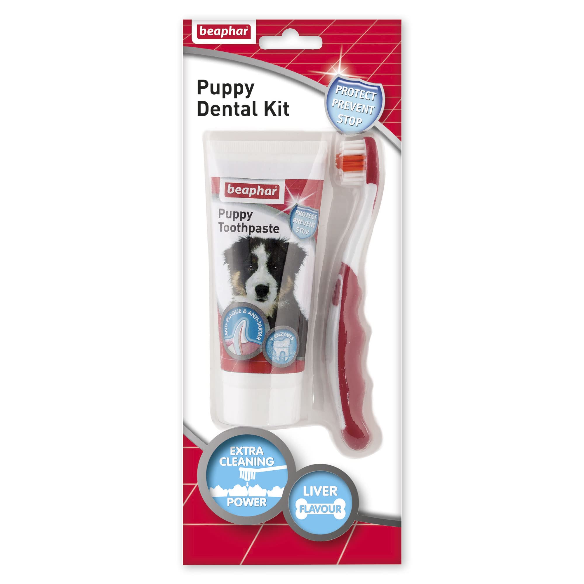 Beaphar - Toothbrush & Toothpaste Dental Care Kit for Puppies - Includes a Small-Headed Toothbrush and Liver-Flavoured Enzymatic Toothpaste, 100g Tube