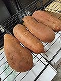 NC Farm Fresh Sweet Potatoes Appx 20lbs