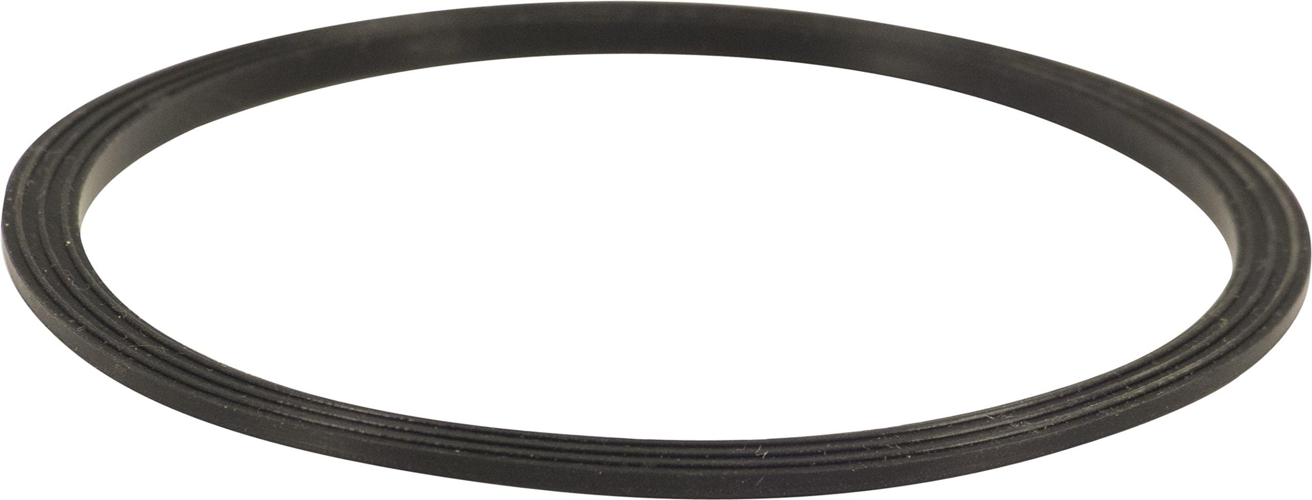 Fermentasaurus Replacement Lid Seal