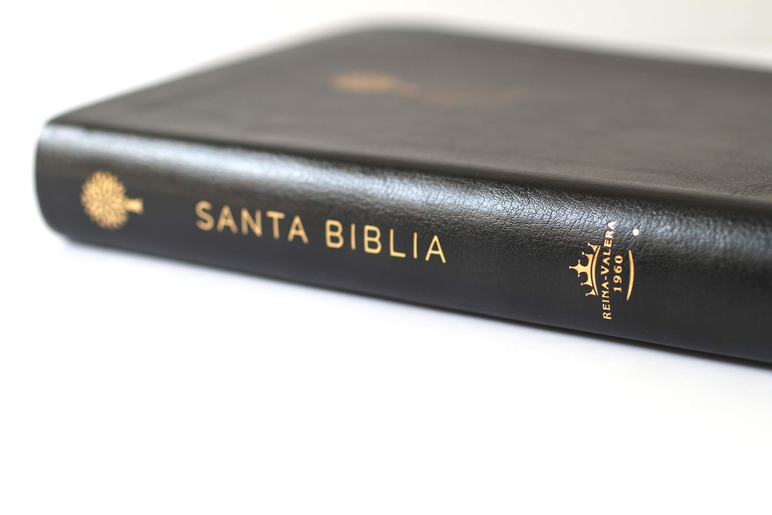 Biblia Reina Valera 1960 letra grande. Símil piel negro, índice, tamaño manual / Spanish Bible RVR 1960. Handy Size, Thumb Index, Large Print, Black Leath (Spanish Edition)