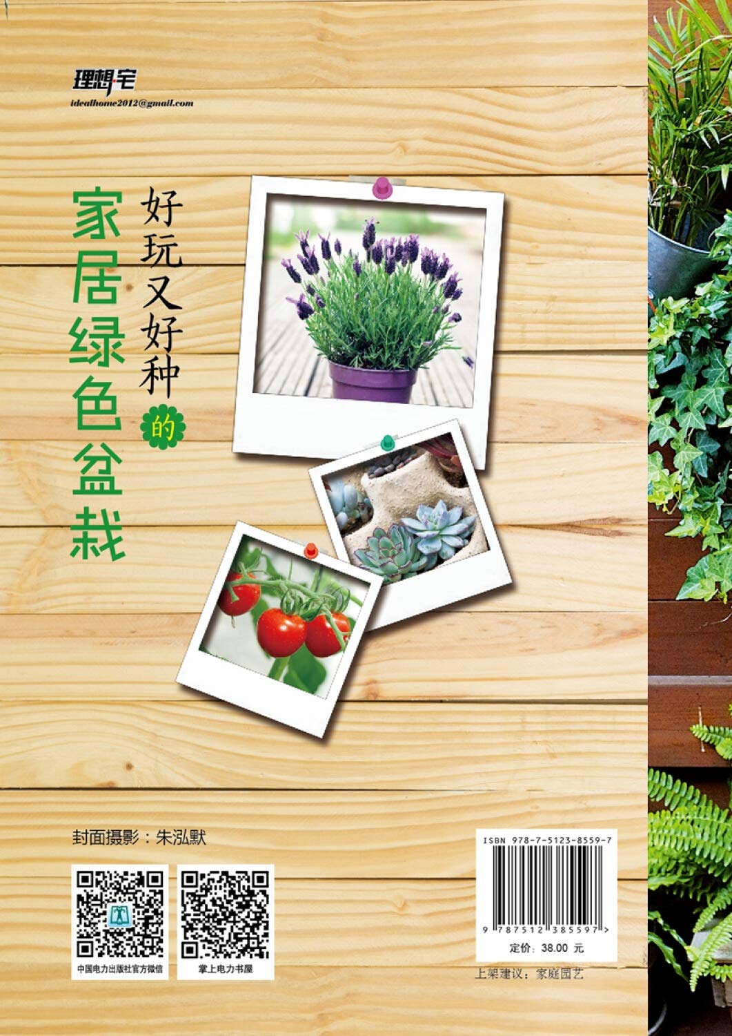 好玩又好种的家居绿色盆栽 理想 宅 Amazon Com Books
