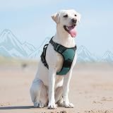 Eagloo Dog Harness Large No Pull Front Back Clips Reflective Dark Green view 9