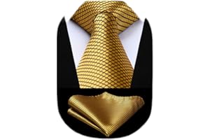 HISDERN Mens Ties Plaid Tie and Pocket Square Set Classic Woven Formal Checkered Neckties & Handkerchief Wedding Party