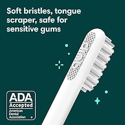quip Sonic Toothbrush for Adults with Timer
