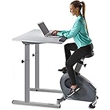 LifeSpan C3-DT5 Bike Desk