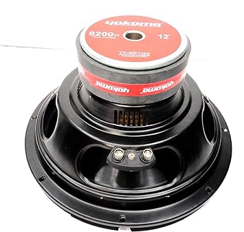 best bass 12 subwoofer