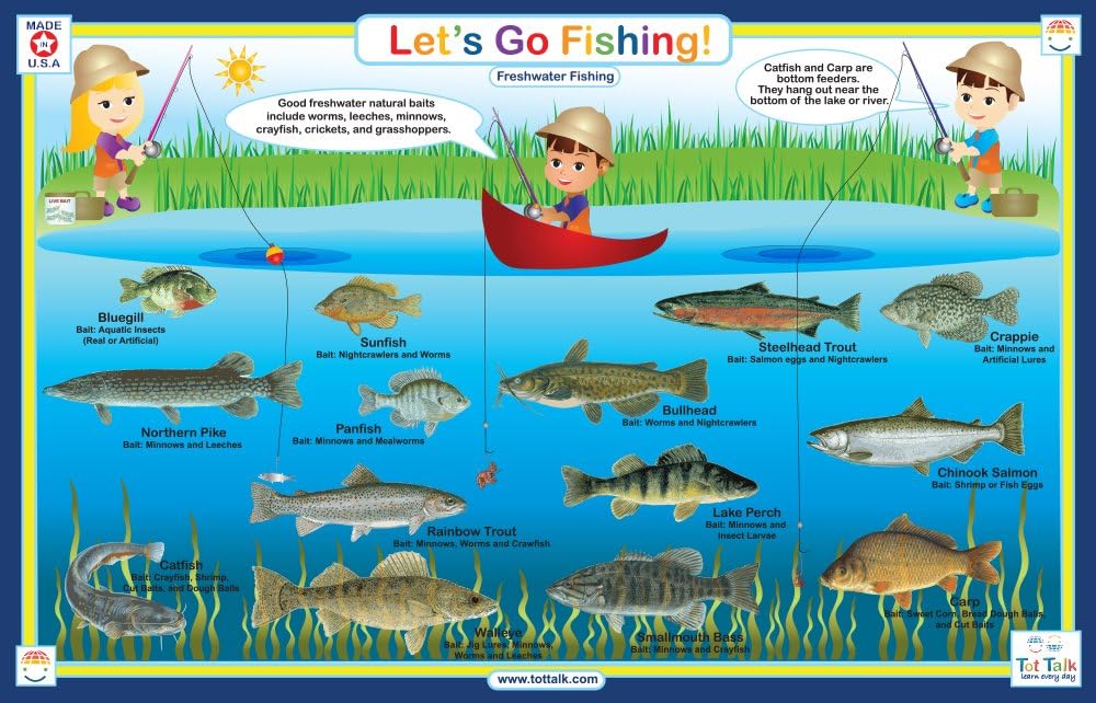 Best boy placemats for kitchen table