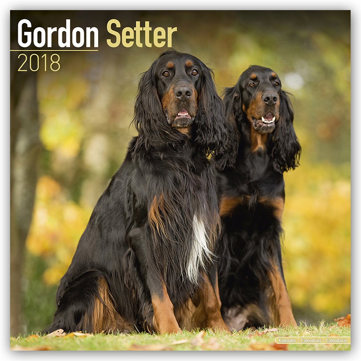 Gordon Setter Calendar 2018