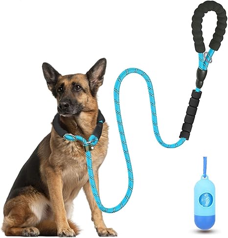 5 ft dog leash