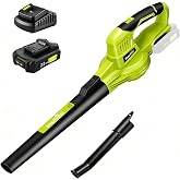 SnapFresh Leaf Blower Cordless, 2.7LBS Electric Leaf Blower 2-Speed Control | UL Certificated 2.0Ah Battery &amp; Charger, 20V Platform, 50-Min Fast Charge, Detachable Tube, One-hand Use for Lawn/Patio/Yard