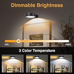 LED Picture Light Wireless Battery Operated Poster