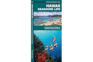 Hawaii Seashore Life: An Introduction to Familiar Species
