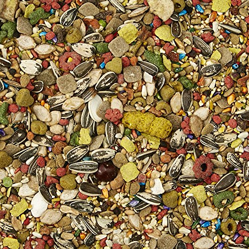 2 Kaytee+Gourmet+Variety+Conures+2+Pound