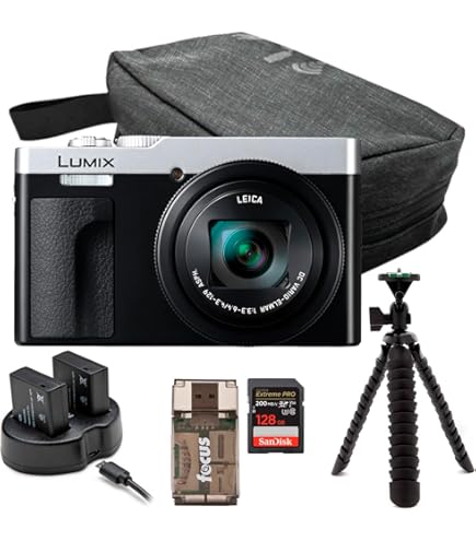 Amazon.com : Panasonic LUMIX ZS99 Point and Shoot Camera, Compact