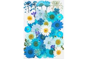 40Pcs Blue Dried Pressed Flowers for Crafts,Xinxinran Dry Flowers Kit for Resin Molds,Epoxy Resin Accessories,Bookmark,Nails, Jewelry Molds,Candle Making Supplies,Soap,Frame,Cakes