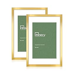 Annecy 16x24 Picture Frame Gold（2 Pack）, 16 x