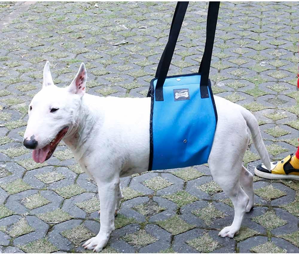 Dog Aid Lift Support Harness with Handle Sling Assist Mobility Vest Leash Help Aging, Disabled, Injured,Weak hind legs Dogs (M: Chest 60cm, Blue)