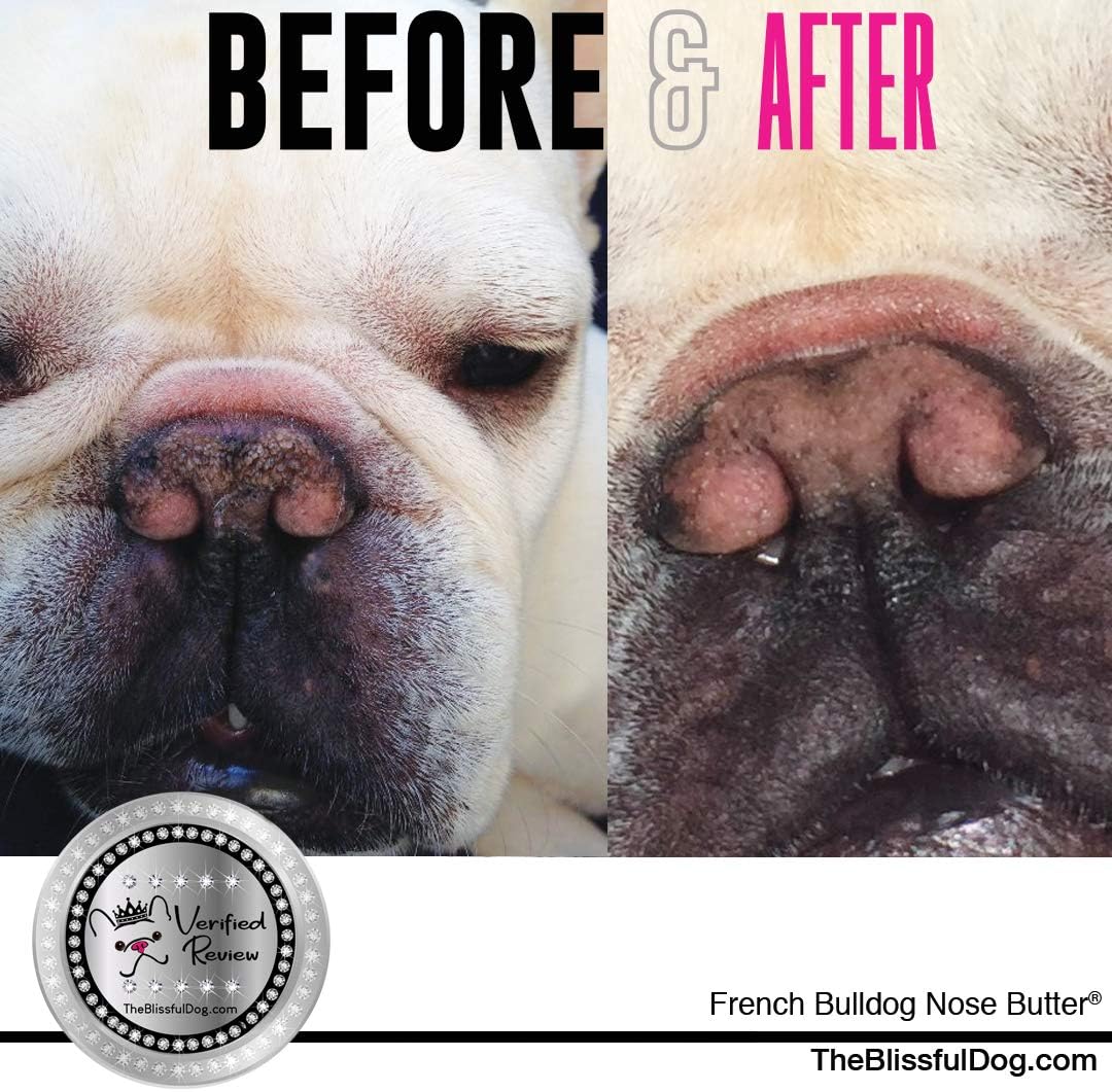 snout cream for french bulldog