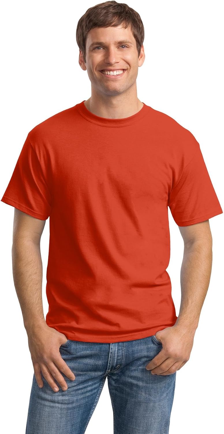 Best mens t shirts crew hanes lg