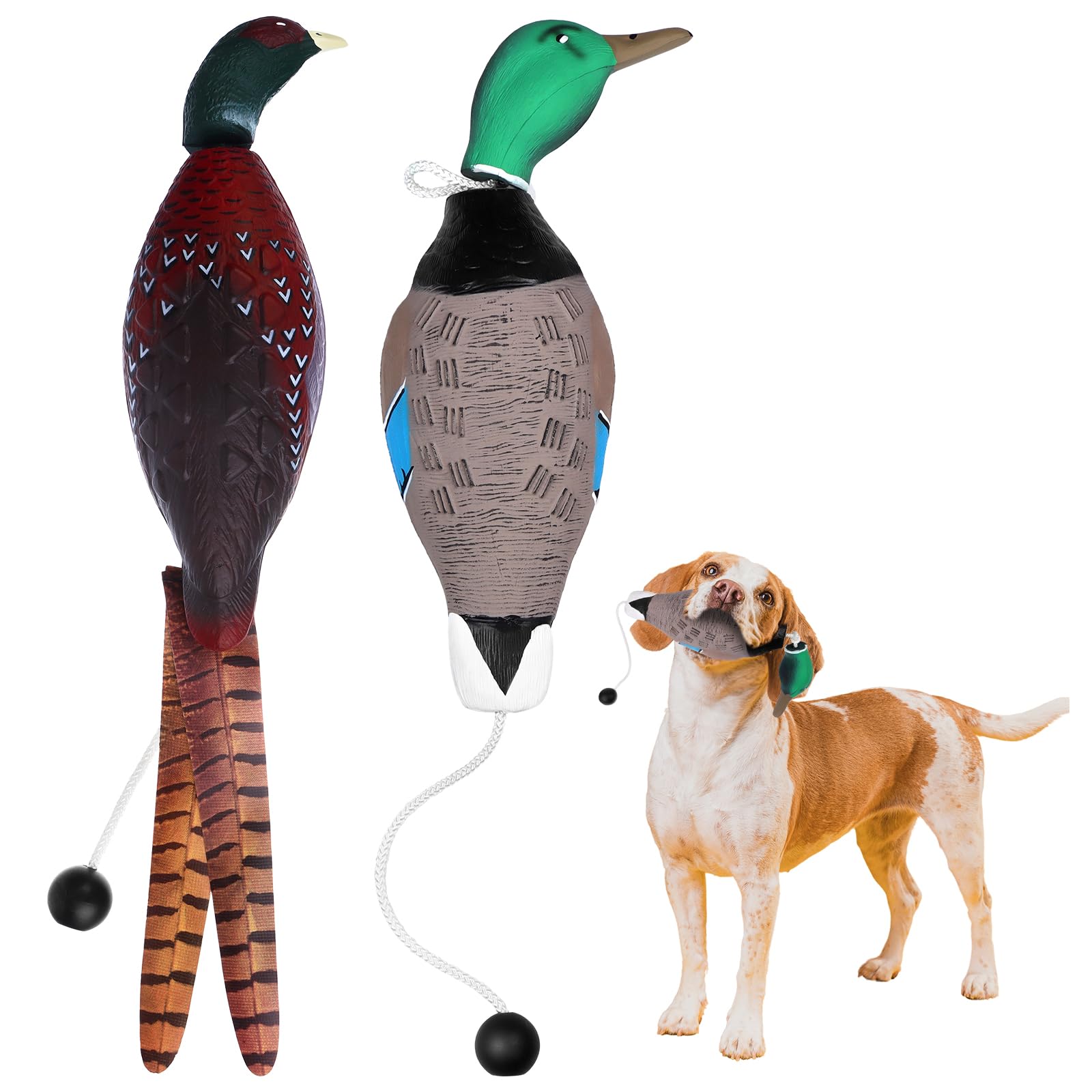 2 Pcs Dog Training Duck Dummy Pheasant Toy for Dog Training Tools for Hunting Retriever Dog Training Bird Dummy Dog Training Foam Pet Dog Interactive Toys for Puppies Or Adult Dogs (Pheasant+Duck)