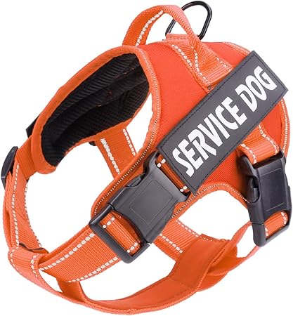 service dog pull strap