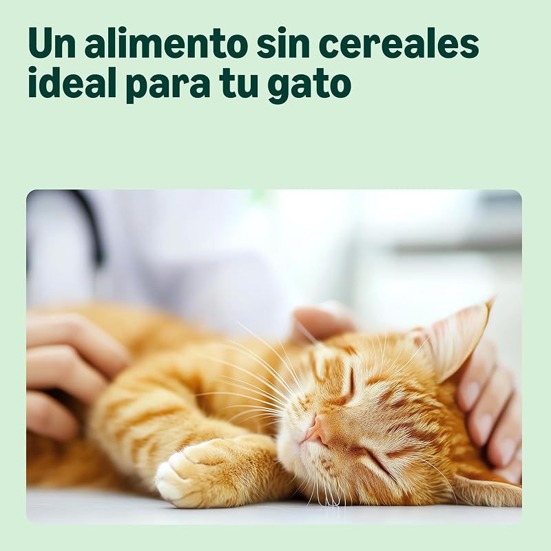 Comida Completa para Gatos con Receta sin Granos, Gatito, con Pollo Fresco, 3 kg