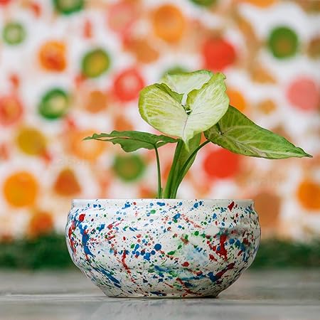 Lasaki Bowl Small Ceramic Pots for Indoor Plants,Planters,Flower pots,gamla, Outdoor,Balcony,Home,Garden,Office Decor,Succulent Pot (Color:Multi)(D:13 cm, H:7 cm)