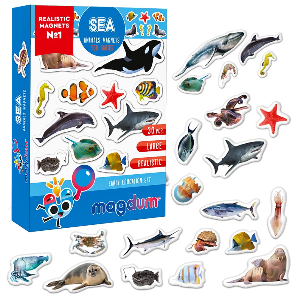 Fridge magnets for kids MAGDUM Sea animals Photo - 30 Large fridge magnets for kids - Magnets for fridge magnets for toddlers - Large magnet - Kids fridge magnets - Toy magnets for whiteboards