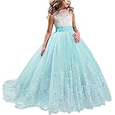 TTYAOVO Girls Embroidery Princess Dress Wedding Birthday Party Long Tail Prom Gowns