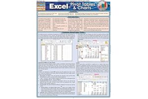Excel: Pivot Tables & Charts QuickStudy Laminated Reference Guide (QuickStudy Computer)