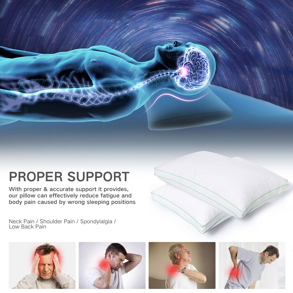 Larnn Bed Pillow for Sleeping, Queen pillow for Men and Women with Dust