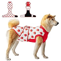 V.PET.B.R Dog Surgery Recovery Suit,Female Male Dog