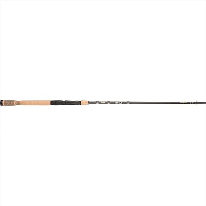 fenwick rod and reel combo