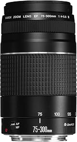 Canon EF 75-300mm f/4-5.6 III Telephoto Zoom Lens Canon DSLR view 4