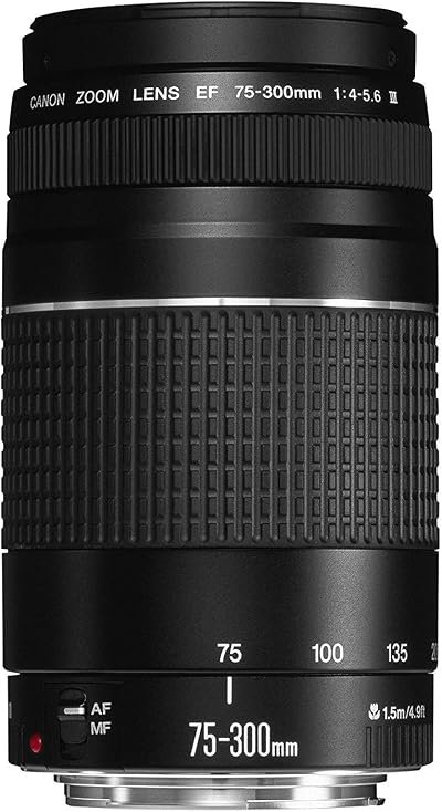 Canon EF 75-300mm f/4.0-5.6 III Zoom Lens 58mm DC Motor AF Not USM