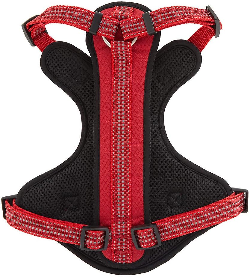 kong waste bag harness amazon