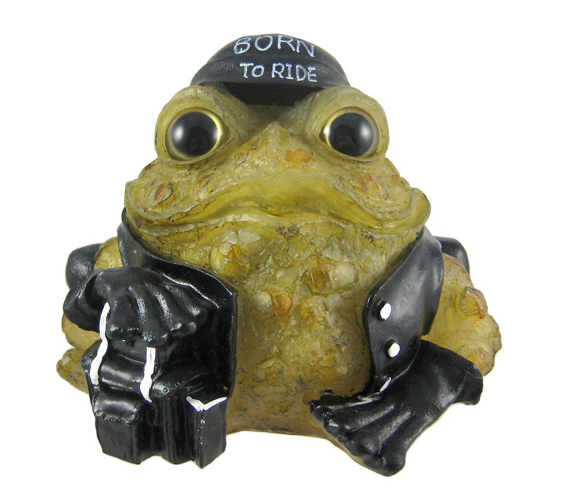 Best Solar Garden Lights Frog