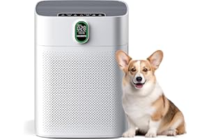 MORENTO Purificateur d'air pour chambre à coucher, maison, grande pièce jusqu'à 1076 m² PM écran 2,5 pouces Capteur de qualit