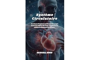 Système Circulatoire: Un réseau d’organes qui fournit du sang à toutes les régions du corps, oxygénant les cellules et élimin