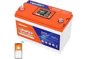TEMGOT 12V 100AH Low Temp Cutoff LiFePO4 Lithium Battery with Touchable Smart Display & APP Monitoring, Built-in 100A BMS,1280W Load Power, 5000+ Cycles, Perfect for RV/Camper, Solar, and Off-Grid